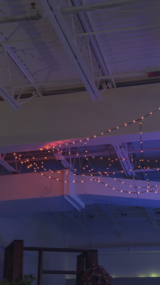 Giant Color Change Spiderweb with Spider