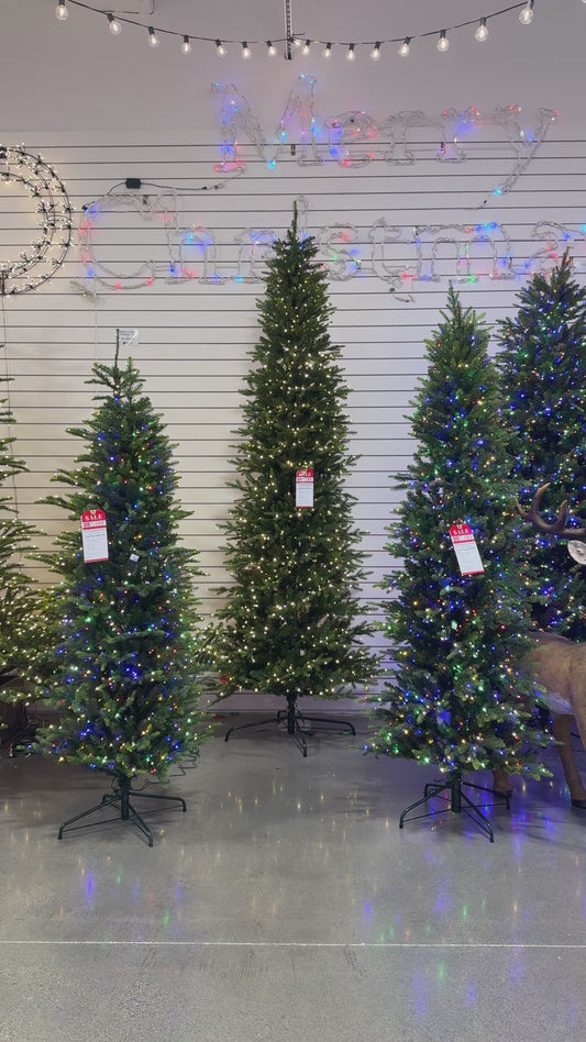 King Pine (Pencil) with 3mm LED Color Changing Christmas Tree