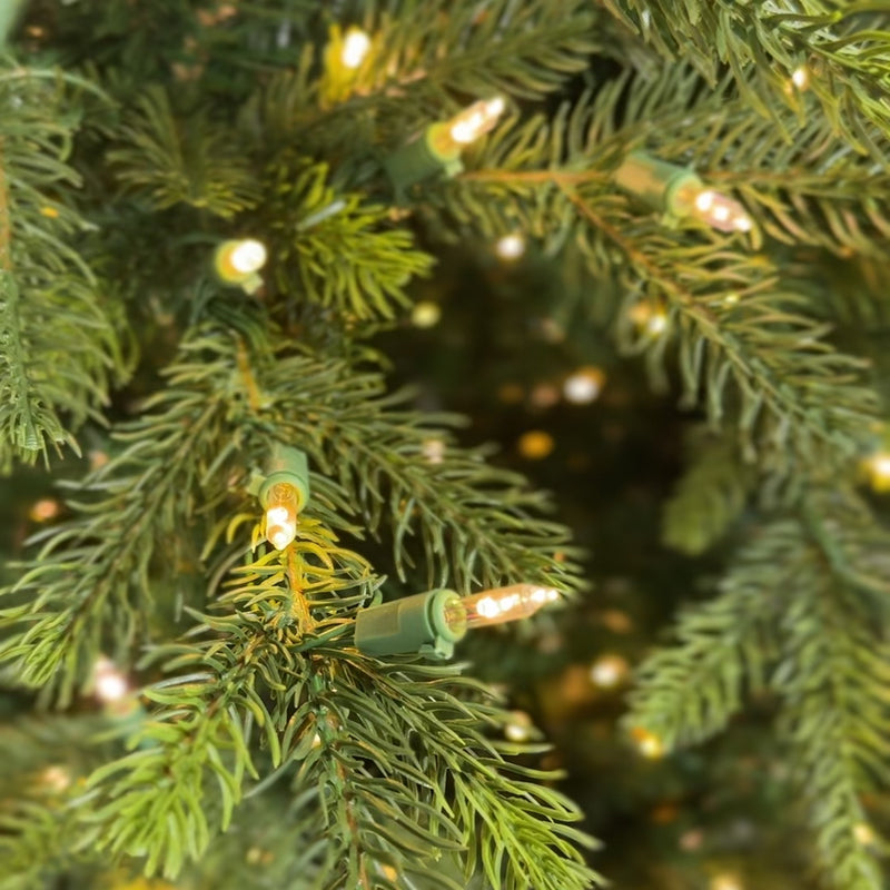 King Pine 8.5 Retro LED Lights