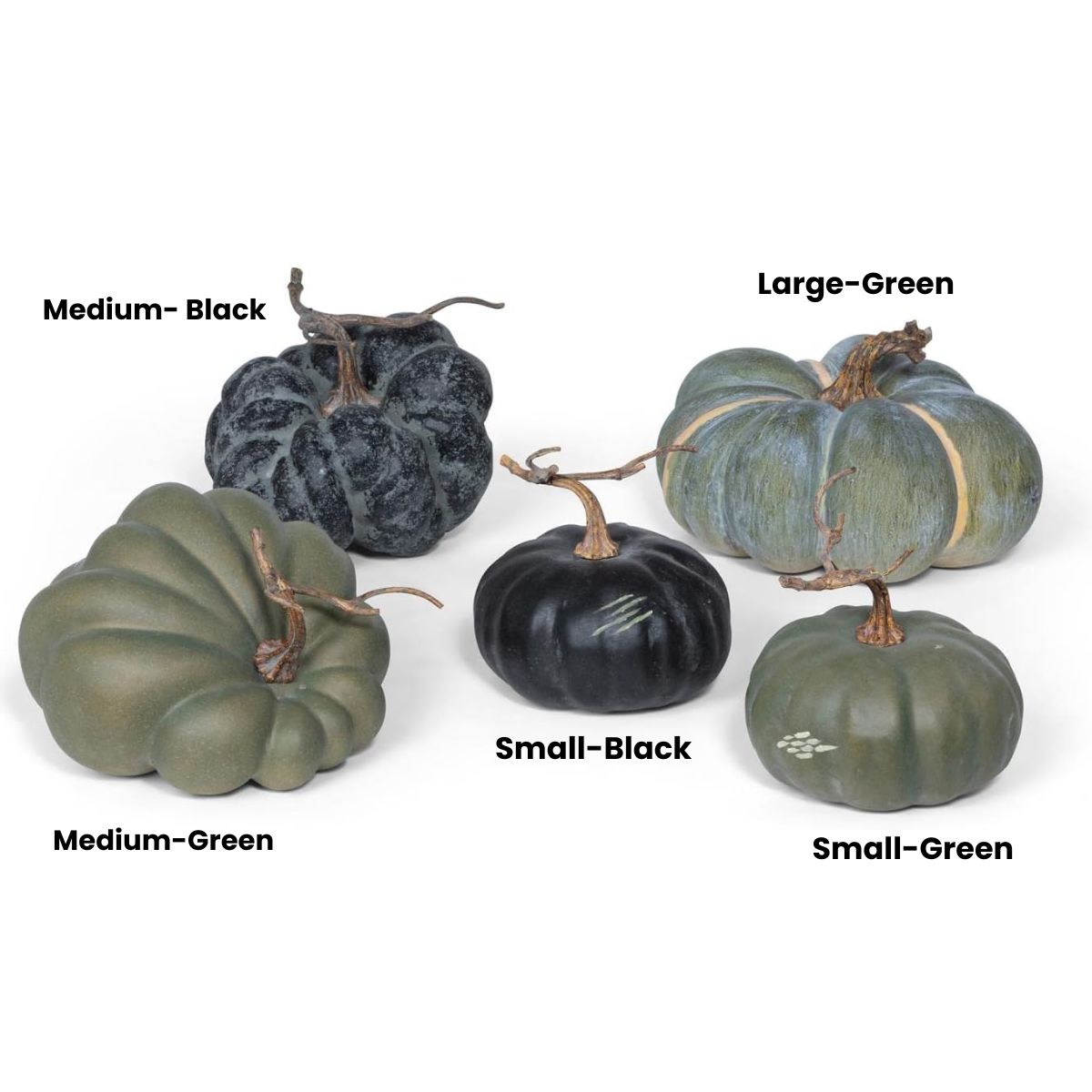 Medium Green Heirloom Pumpkin