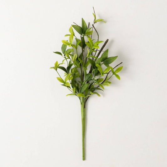 19" Green Ruscus Twig Spray