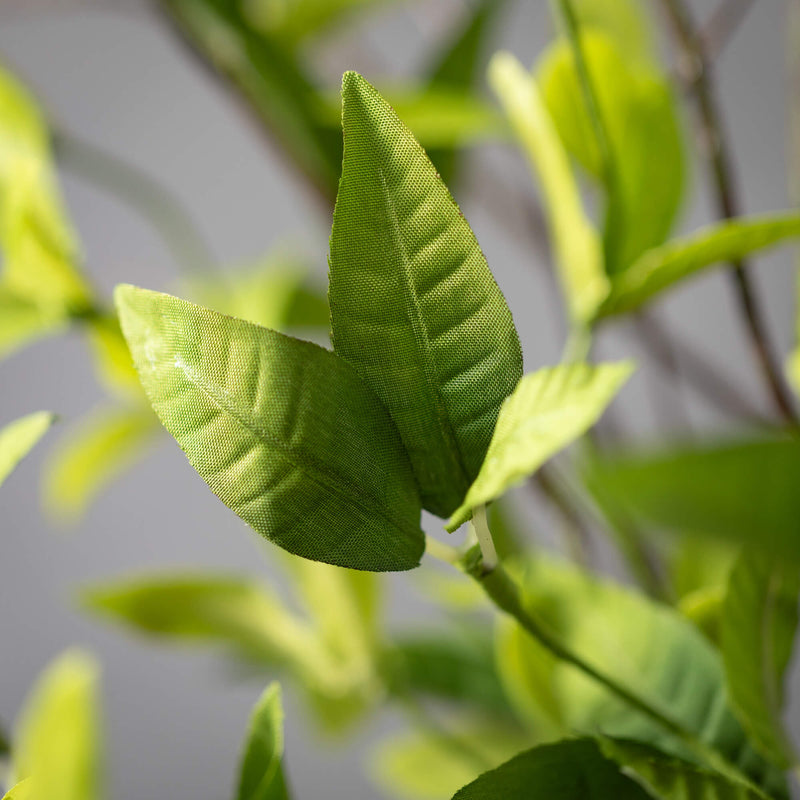 19" Green Ruscus Twig Spray