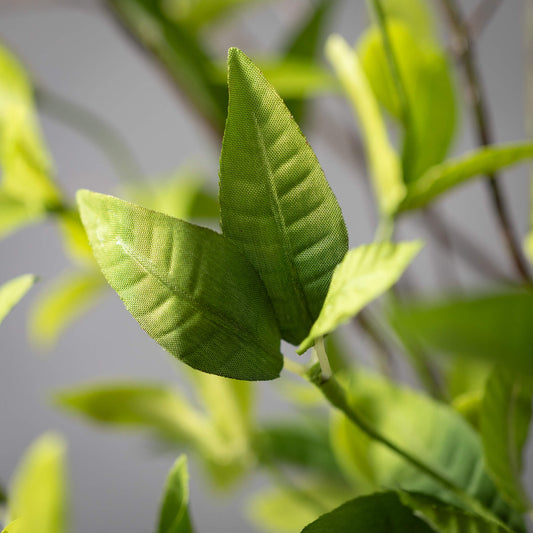 19" Green Ruscus Twig Spray