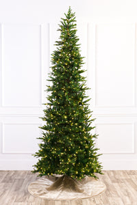 Shetland Fresh Cut Pine Christmas Tree with 5mm LED