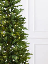 Shetland Fresh Cut Pine Christmas Tree with 5mm LED