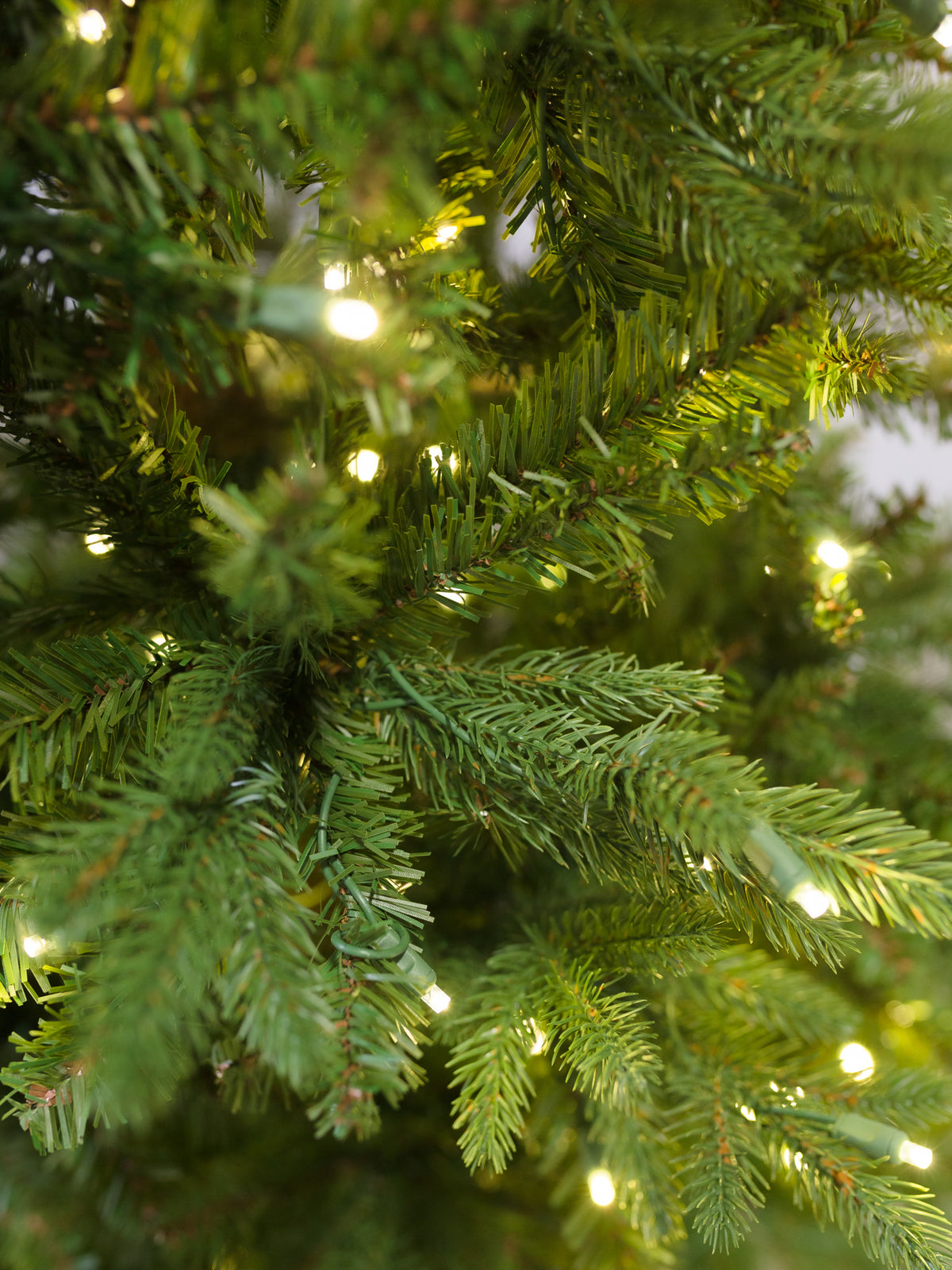 Shetland Fresh Cut Pine Christmas Tree with 5mm LED
