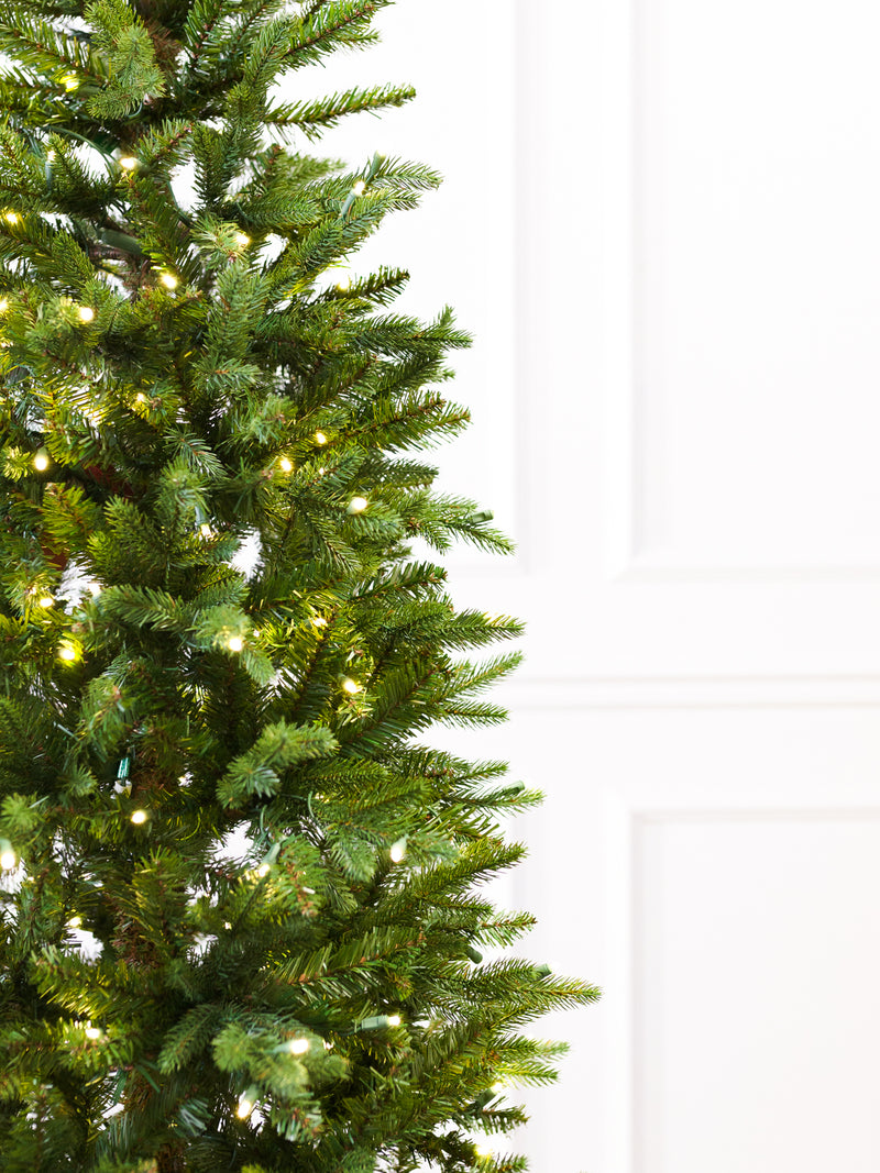 Shetland Fresh Cut Pine Christmas Tree