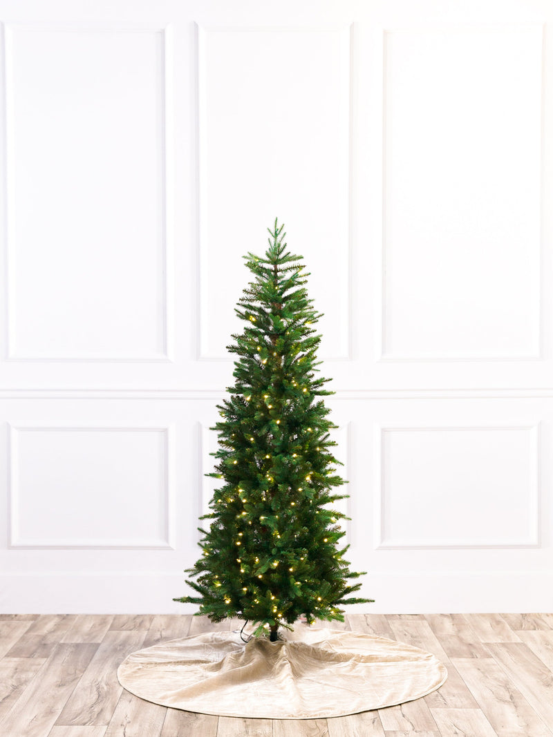 Shetland Fresh Cut Pine Christmas Tree with 5mm LED
