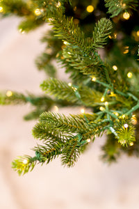 Swiss Mountain Spruce Christmas Tree