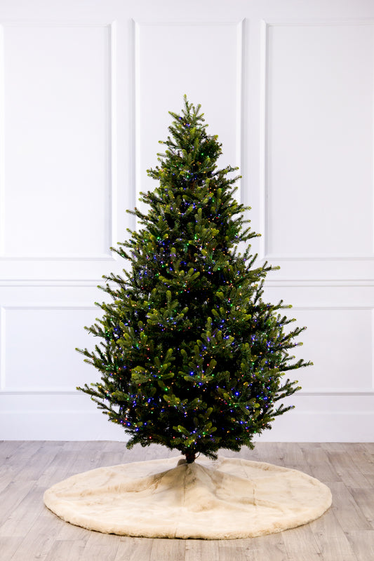 Swiss Mountain Spruce Christmas Tree with 3mm LED Color Change