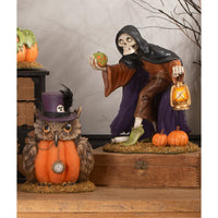 Mr. Hootsworth - Bethany Lowe