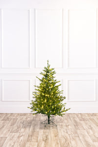 Wasatch Frasier Christmas Tree
