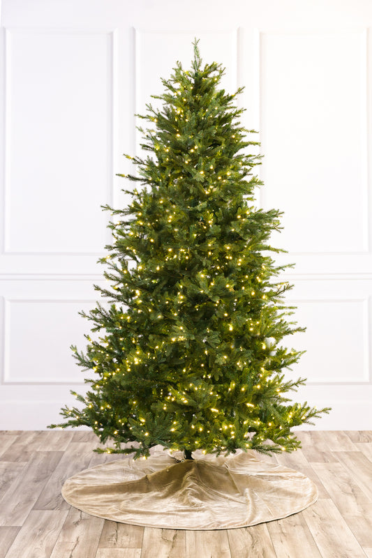 Wasatch Frasier Christmas Tree