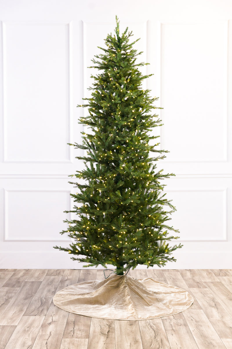 Wasatch Frasier Christmas Tree