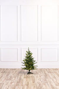 Wasatch Frasier Fresh Cut Christmas Tree