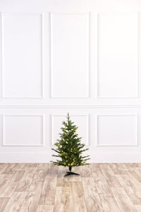 Wasatch Frasier Christmas Tree