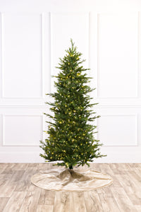 Wasatch Frasier Christmas Tree