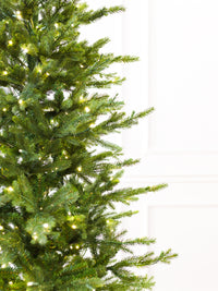 Wasatch Frasier Slim Cut Christmas Tree