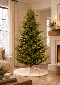 Williamsburg Fraser Fir Christmas Tree