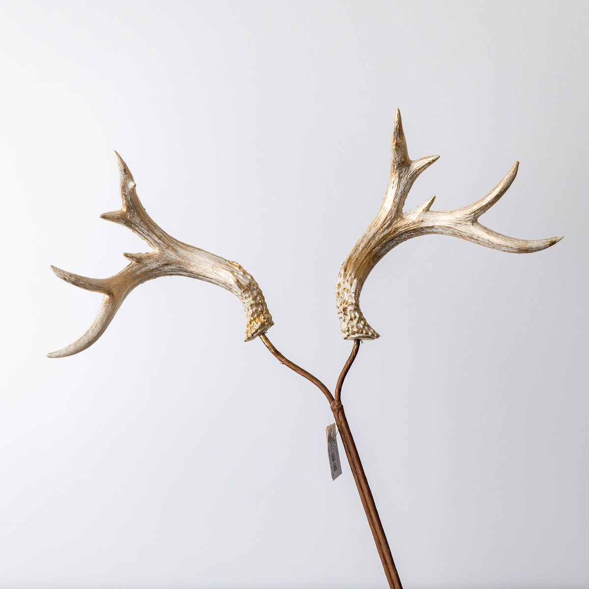 25" Whitewash Antler Spray