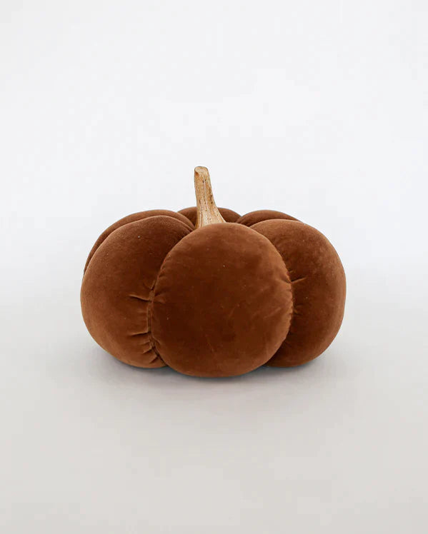 Brown Large Velvet Pumpkin with Wood Stem - Thumbnail 2