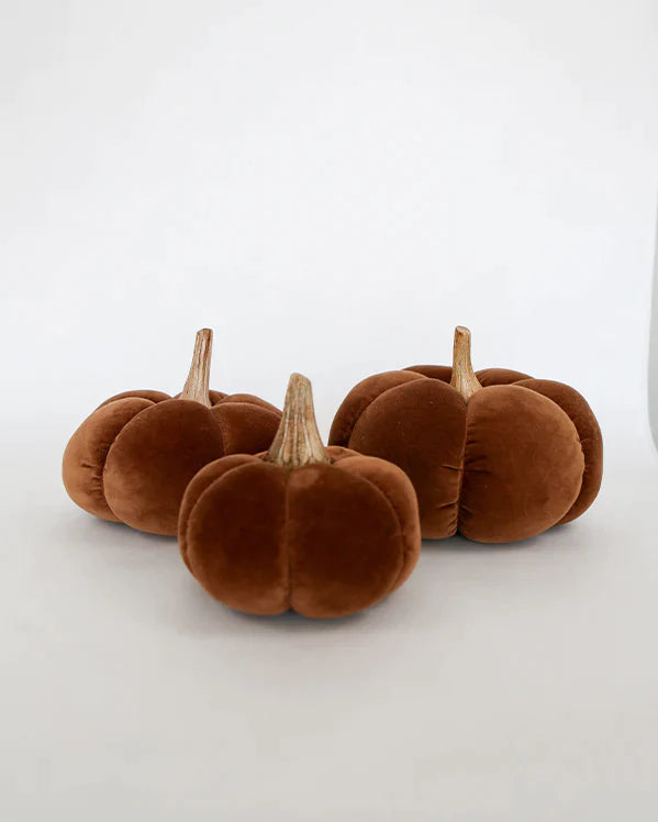 Brown Medium Velvet Pumpkin with Wood & Stem