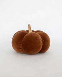Brown Small Velvet Pumpkin with Wood & Stem
