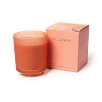 Paloma Petal Boxed Glass Candle - Illume