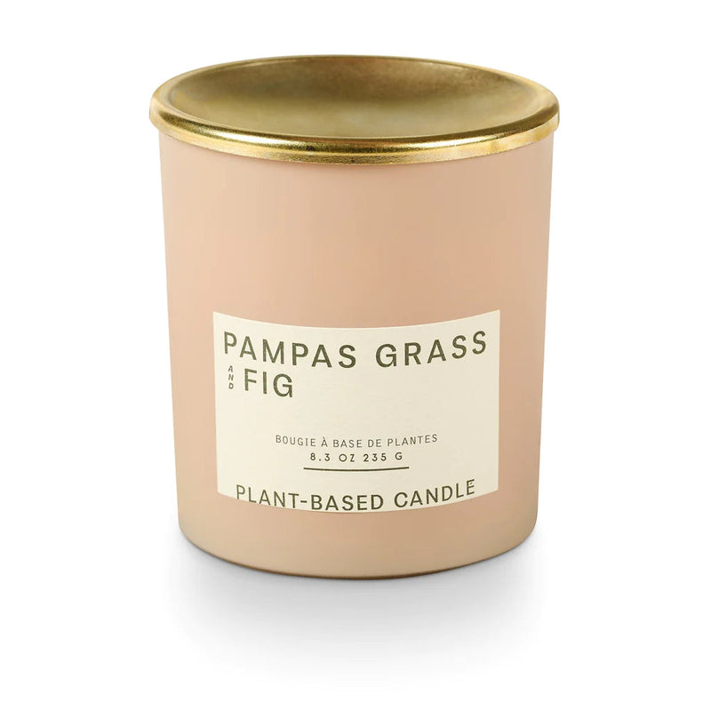 Pampas Grass and Fig Lidded Jar Candle - Illume