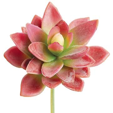 5" Soft Touch Mini Agave Pick