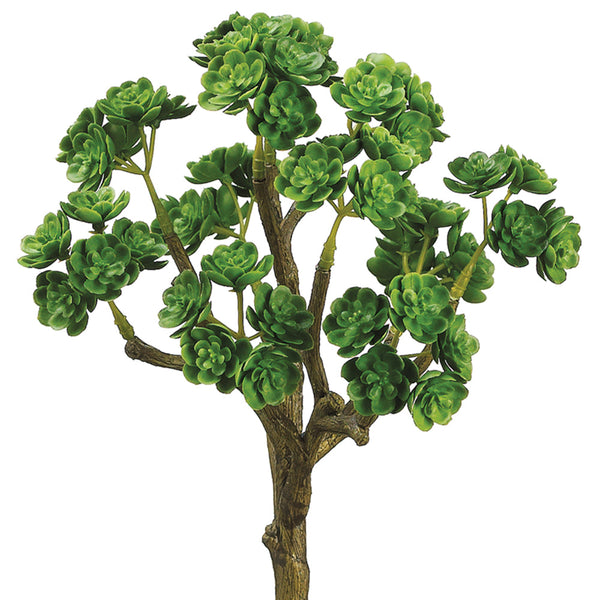 10" Soft Touch Sedum Bush