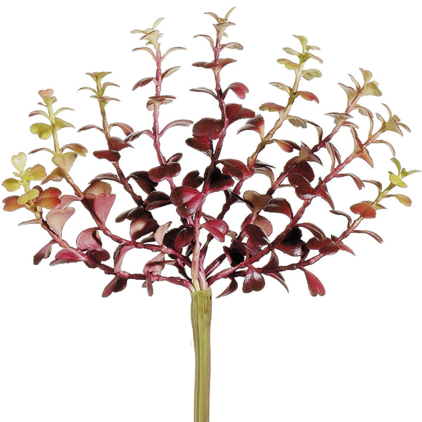7.5" Soft Touch Jade Plant Pick