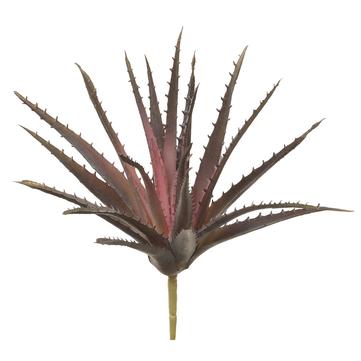 10.5" Aloe Pick