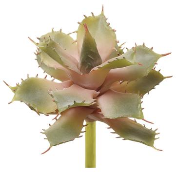 5.5" Aloe Pick