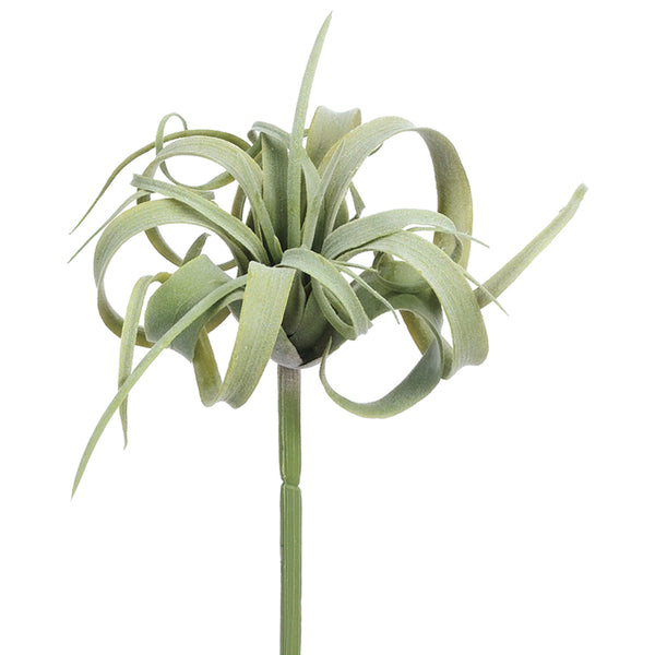 8" Soft Tillandsia Pick