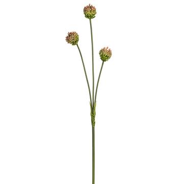 27" Allium Spray