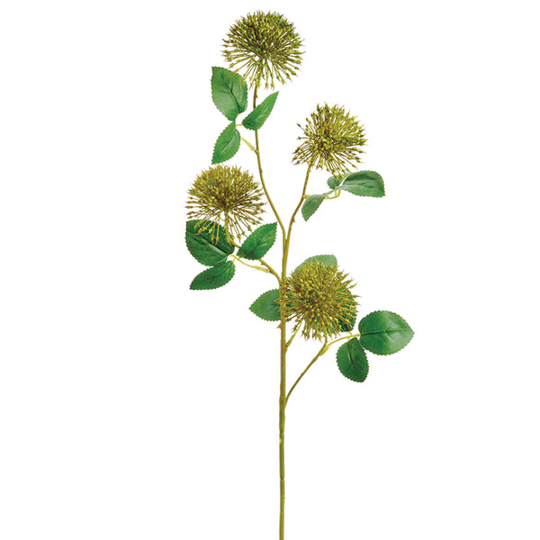 29" Green Allium Spray
