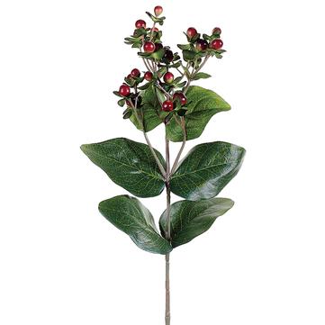 27.5" Hypercicum Berry Spray