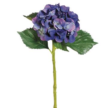 19" Blue Single Hydrangea