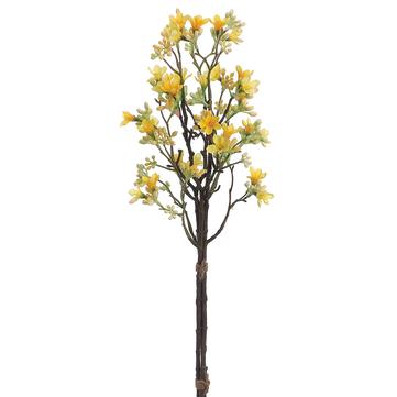 20" Yellow Heptacodium