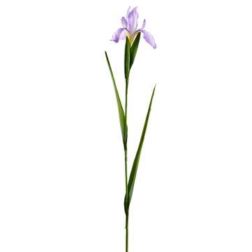 30" Lavender Iris Spray