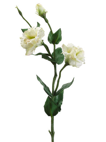 25" Lisianthus Spray