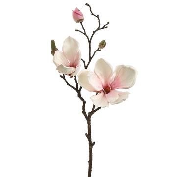 19" Pink Magnolia Spray