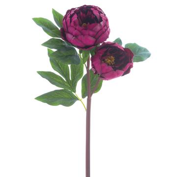 22" Burgundy Peony Spray