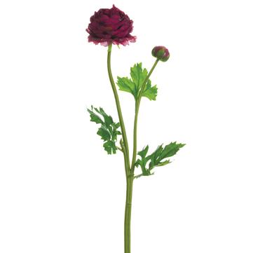 18.9" Wine Ranunculus Spray