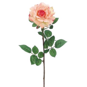 32" Lx5" D Georgia Rose Spray