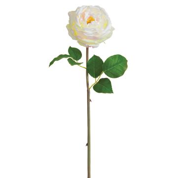 20" Cabbage Rose Bud Spray