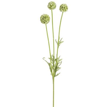 24" Scabiosa Spray