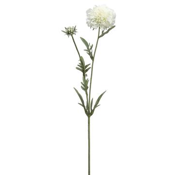 28" Cream Scabiosa Spray