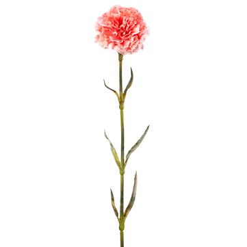 21" Coral Carnation Spray